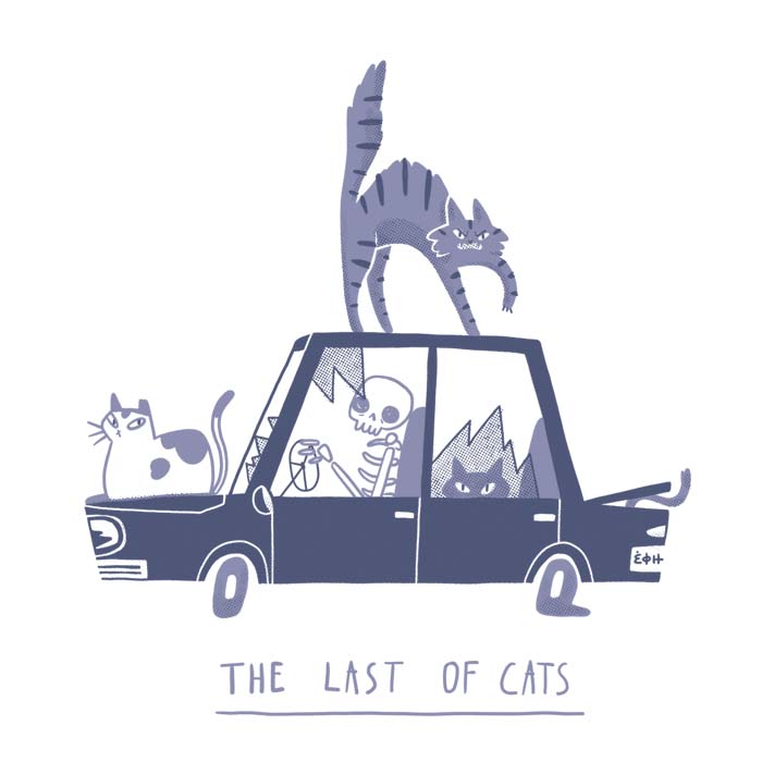 last of cats